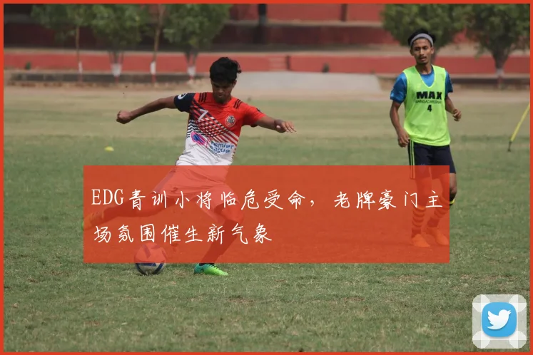 EDG青训小将临危受命，老牌豪门主场氛围催生新气象