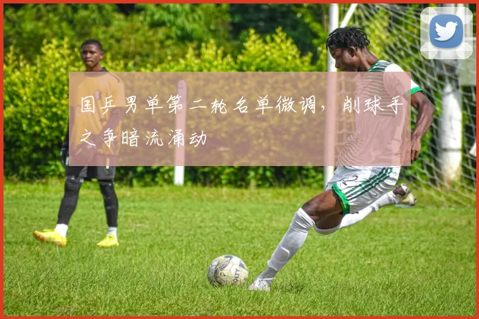 国乒男单第二轮名单微调，削球手之争暗流涌动