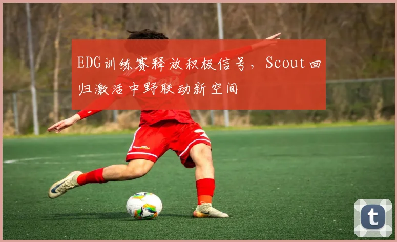 EDG训练赛释放积极信号，Scout回归激活中野联动新空间