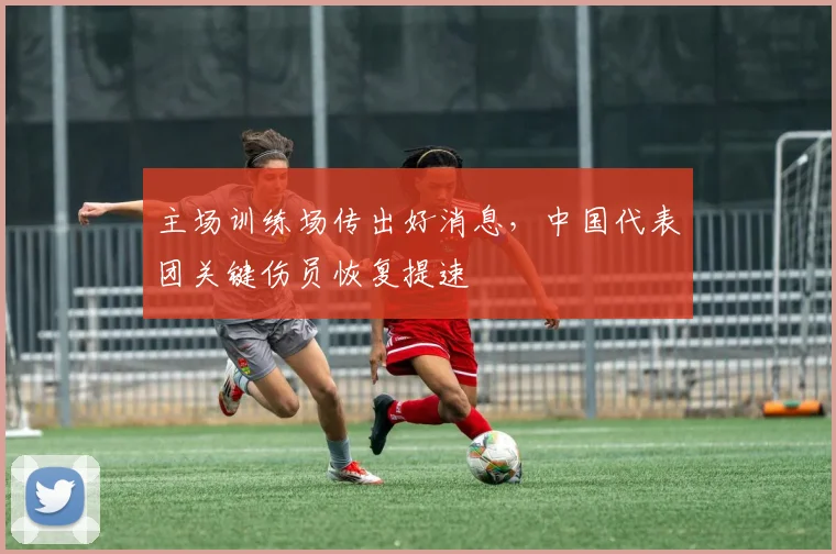 主场训练场传出好消息，中国代表团关键伤员恢复提速